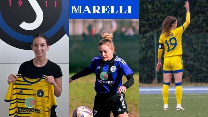 Iraci Marelli Vischi
